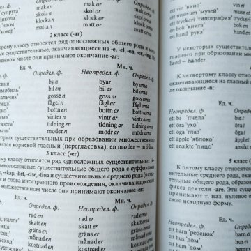 Шведский язык. Интенсивный курс