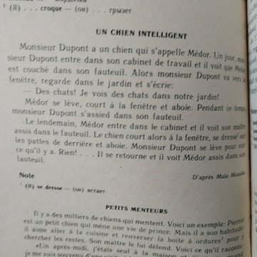 Le français en vacances