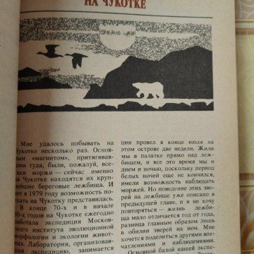 Звери в природе