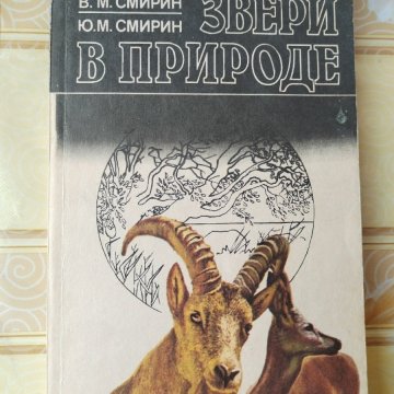 Звери в природе